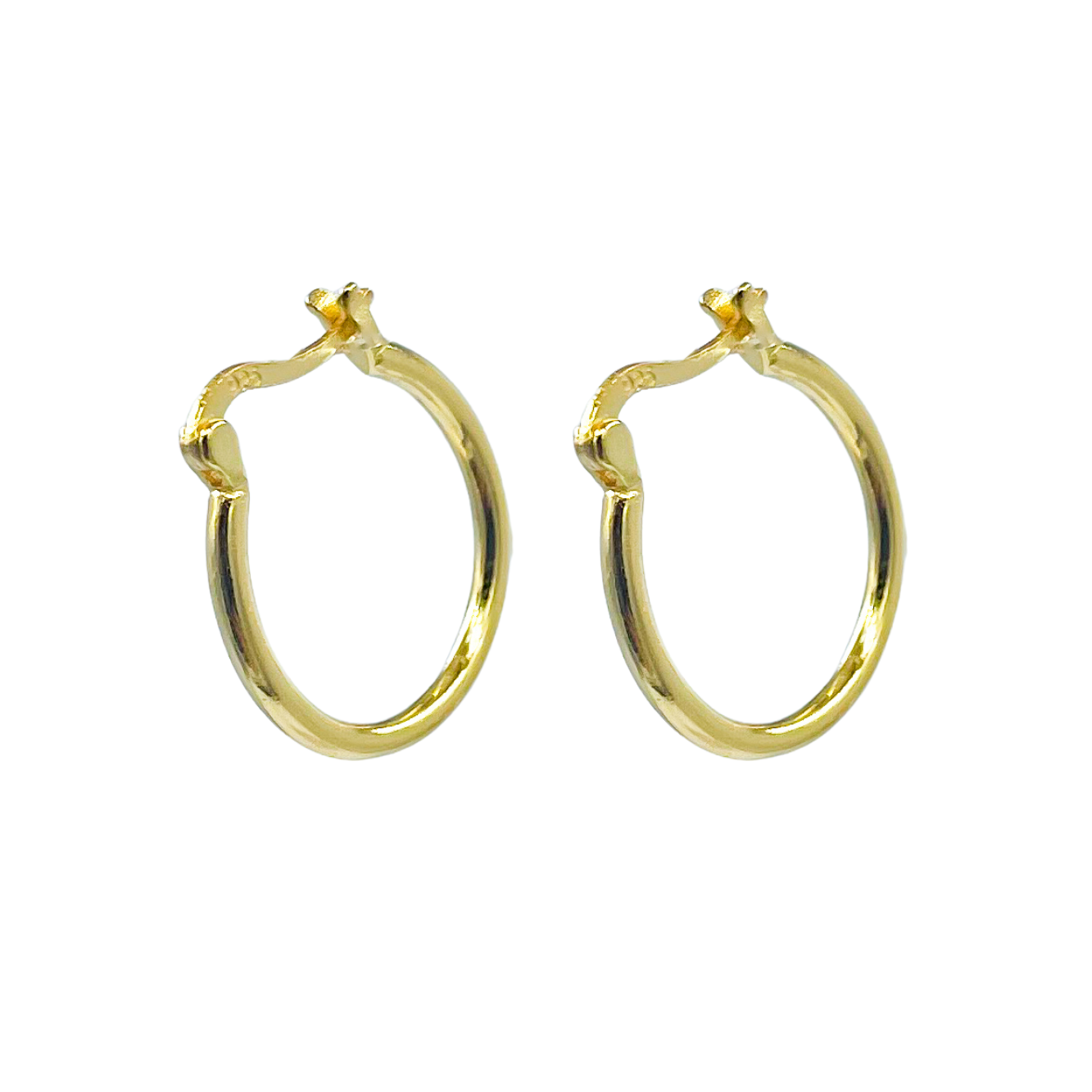 Elegant Hoop Earrings