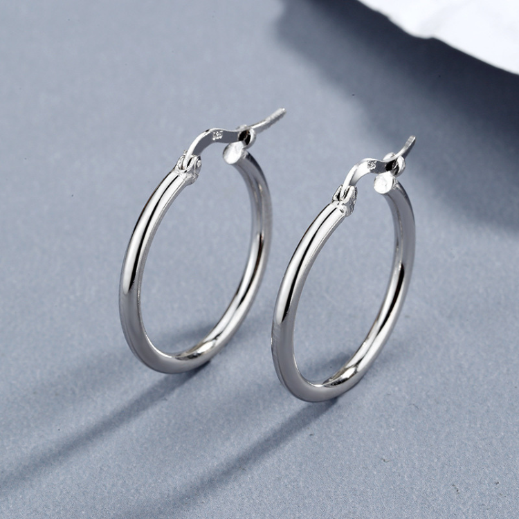 Elegant Hoop Earrings